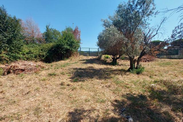 #24191 Terreno agricolo con porzione di viabilità in vendita - foto 14