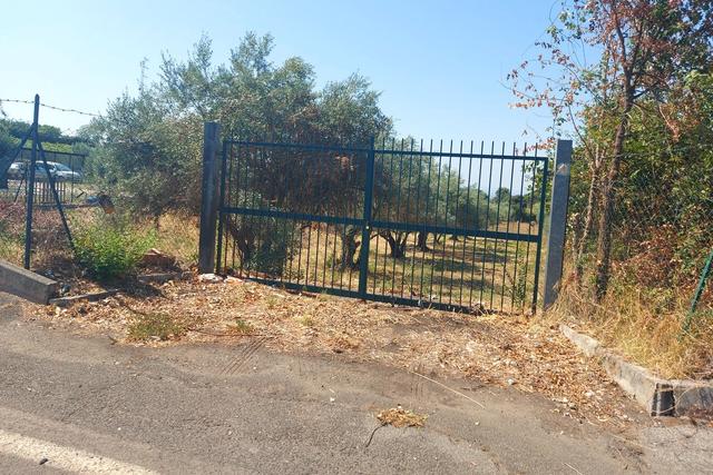 #24191 Terreno agricolo con porzione di viabilità in vendita - foto 15