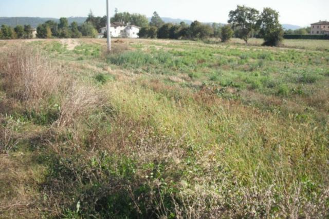 #24233 Terreno agricolo di 16906mq in vendita - foto 4