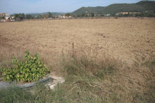 #24234 Terreno agricolo di 75585mq in vendita - foto 1