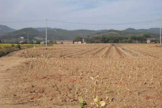 #24234 Terreno agricolo di 75585mq in vendita - foto 2