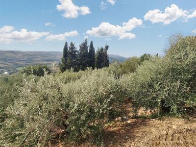 Agricoli in vendita