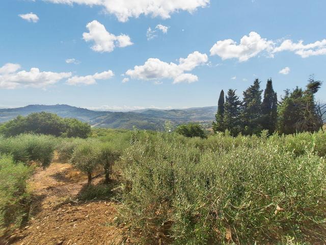 #24297 Terreni Agricoli a Todi - Sup. Tot 9330 mq in vendita - foto 5
