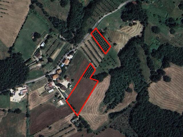 #24297 Terreni Agricoli a Todi - Sup. Tot 9330 mq in vendita - foto 9