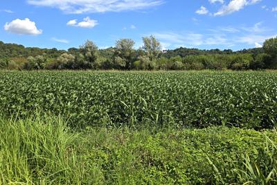 Agricoli in vendita