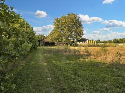 Agricoli in vendita