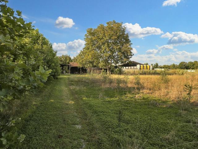 #24328 Terreno agricolo con manufatto precario ad uso deposito in vendita - foto 1