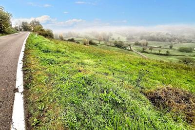 Agricoli in vendita