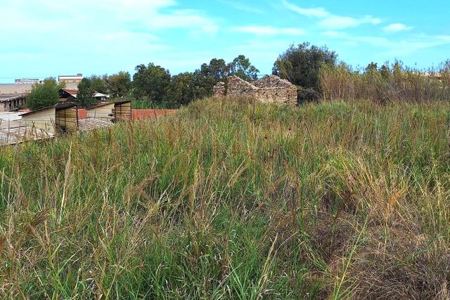 #24603 Appezzamento con rudere fabbricato rurale in vendita - foto 2