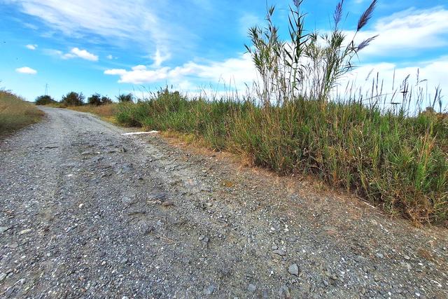 #24603 Appezzamento con rudere fabbricato rurale in vendita - foto 7