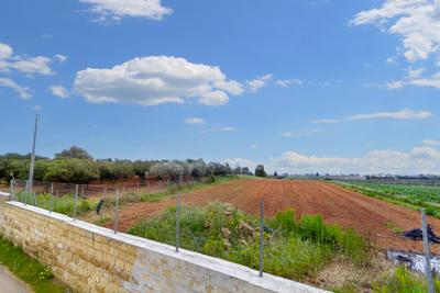 Agricoli in vendita