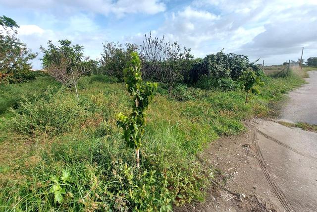 #24733 Due appezzamenti agricoli in zona rurale in vendita - foto 2