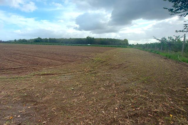 #24733 Due appezzamenti agricoli in zona rurale in vendita - foto 5