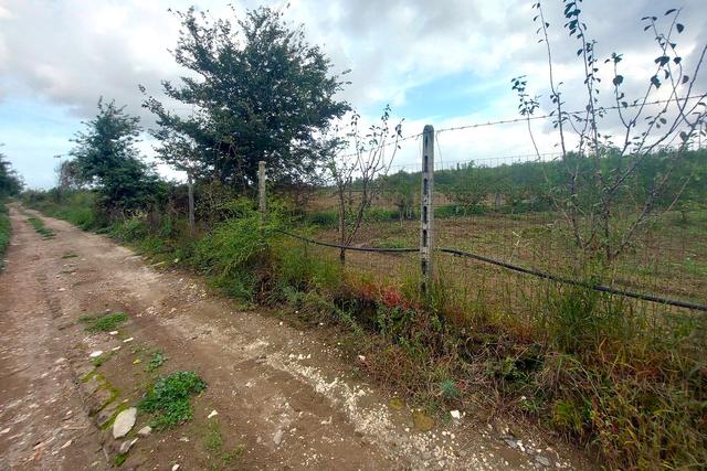 #24733 Due appezzamenti agricoli in zona rurale in vendita - foto 6