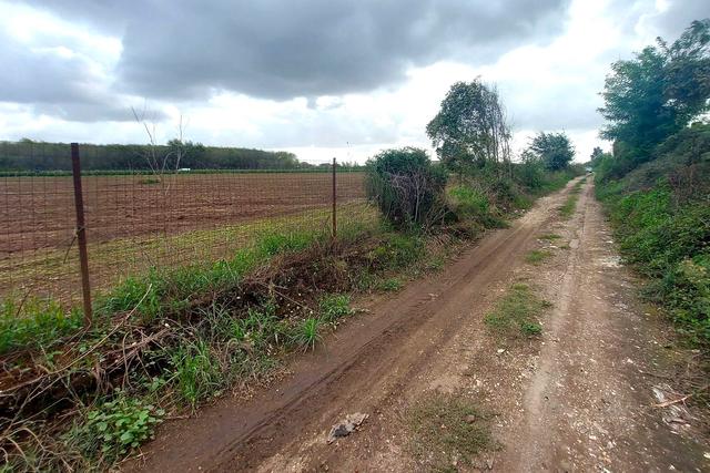 #24733 Due appezzamenti agricoli in zona rurale in vendita - foto 7