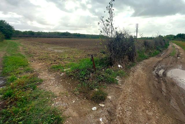 #24733 Due appezzamenti agricoli in zona rurale in vendita - foto 8