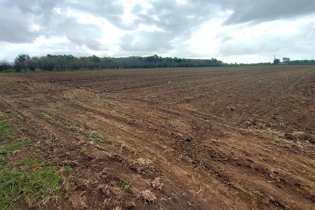 #24733 Due appezzamenti agricoli in zona rurale in vendita - foto 9