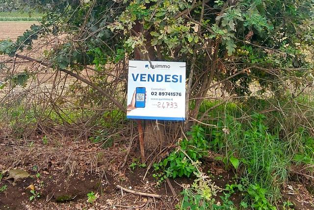 #24733 Due appezzamenti agricoli in zona rurale in vendita - foto 10