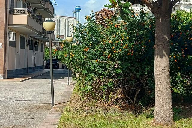 #24734 Frustolo di terreno in zona commerciale in vendita - foto 4