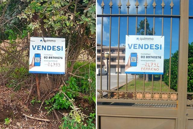 #24735 Due terreni agricoli e frustolo commerciale in vendita - foto 10