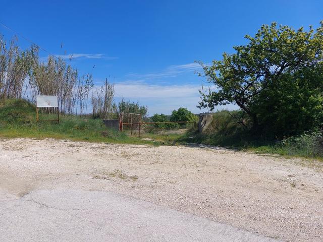 Agricoli in vendita