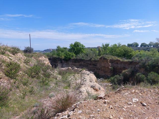 Agricoli in vendita