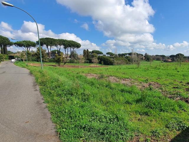 #24789 Terreno a verde privato attrezzato in vendita - foto 3