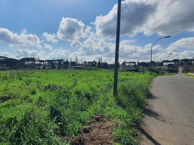 #24789 Terreno a verde privato attrezzato in vendita - foto 4