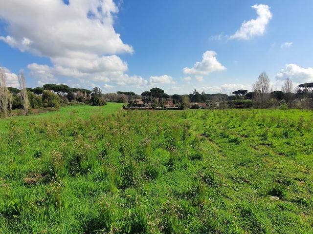 #24789 Terreno a verde privato attrezzato in vendita - foto 6