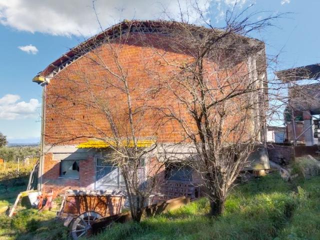 #25003 Complesso agricolo con terreni, abitazione e servizi in vendita - foto 3