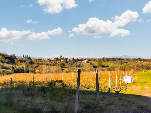 #25003 Complesso agricolo con terreni, abitazione e servizi in vendita - foto 4