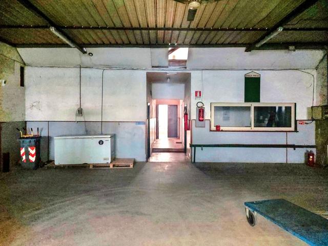 #25123 Capannone con uffici e area pertinenziale in vendita - foto 9
