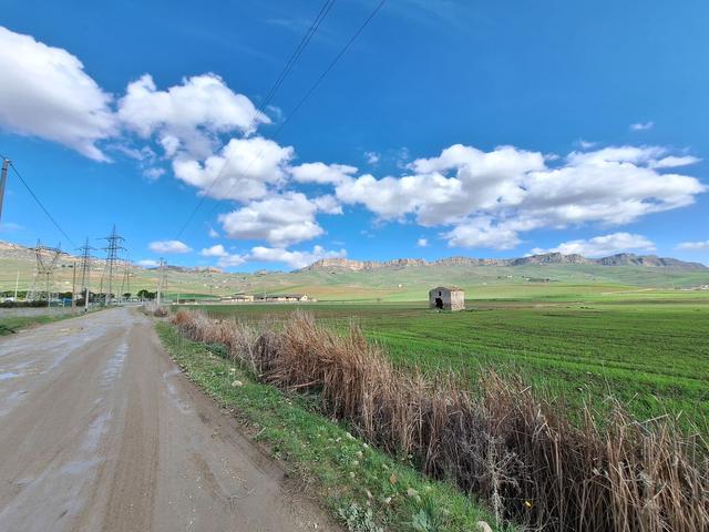 Agricoli in vendita