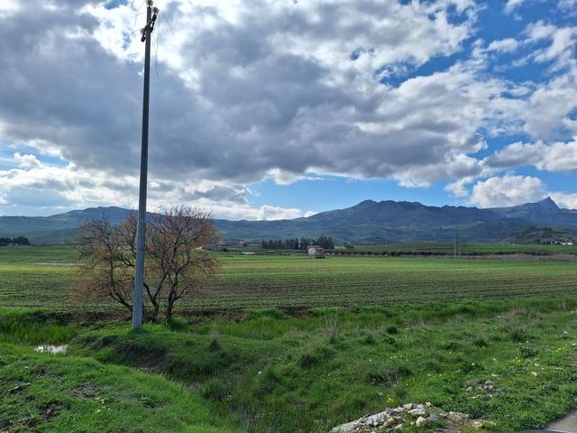 Agricoli in vendita