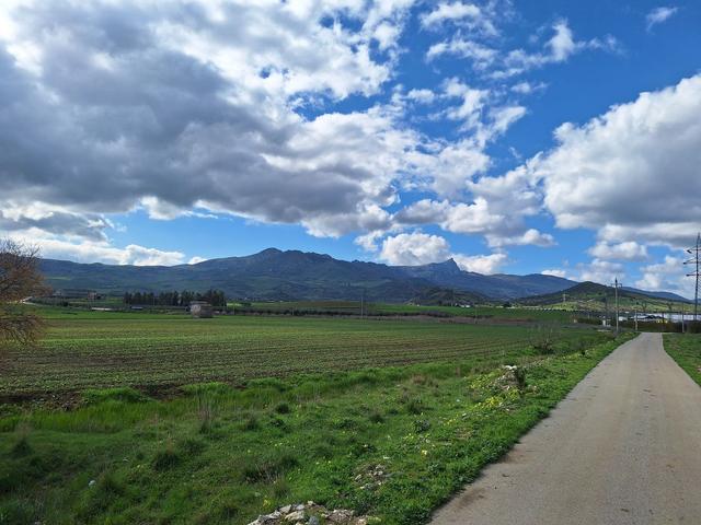 Agricoli in vendita