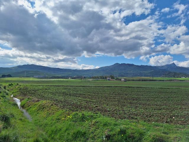 Agricoli in vendita