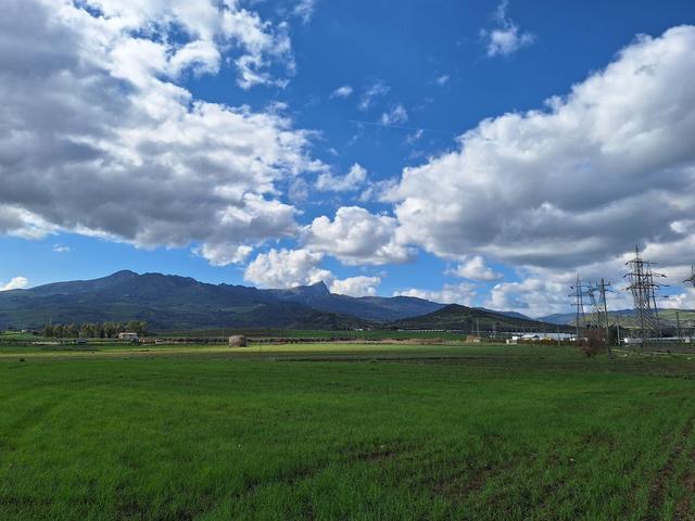 Agricoli in vendita