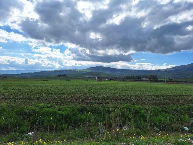 Agricoli in vendita
