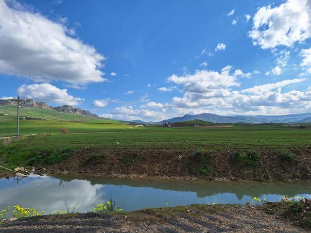 Agricoli in vendita