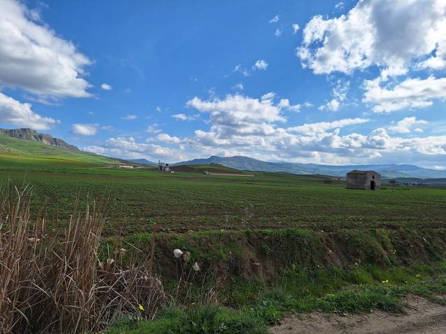 Agricoli in vendita