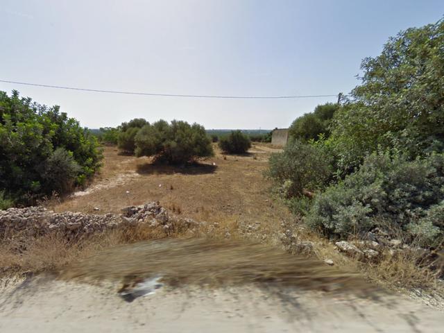 Agricoli in vendita