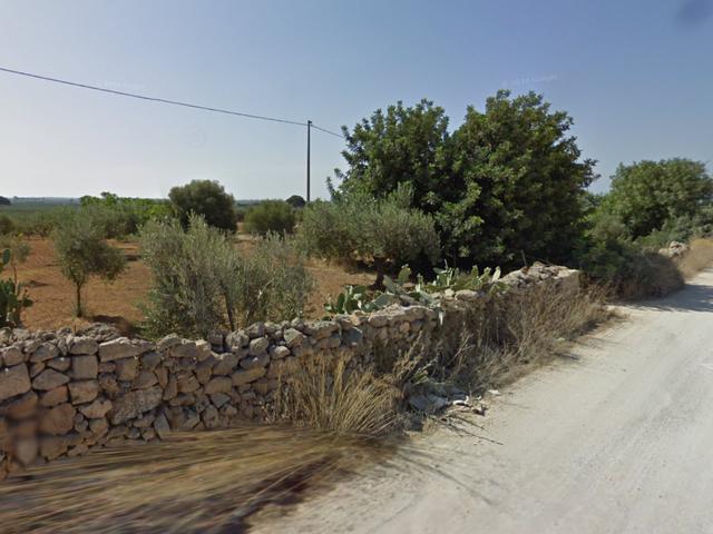 Agricoli in vendita