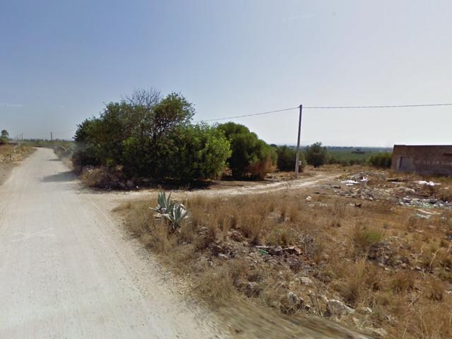 Agricoli in vendita
