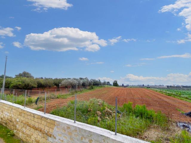 Agricoli in vendita