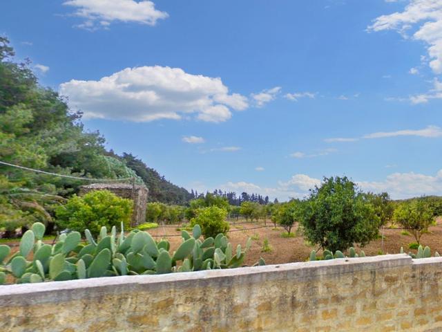 Agricoli in vendita