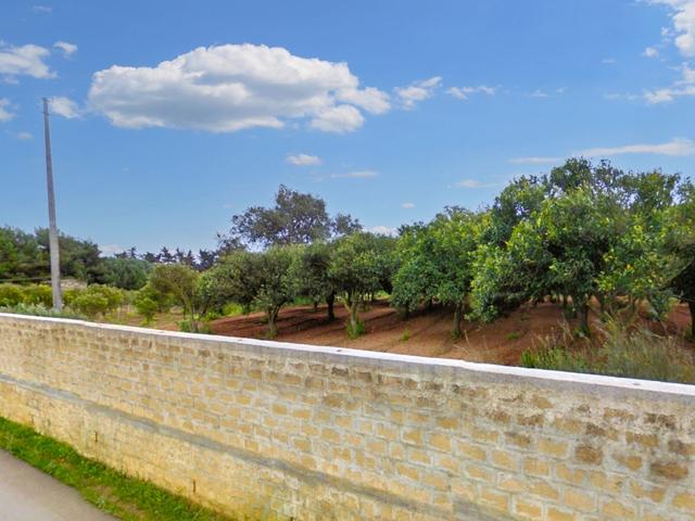 Agricoli in vendita