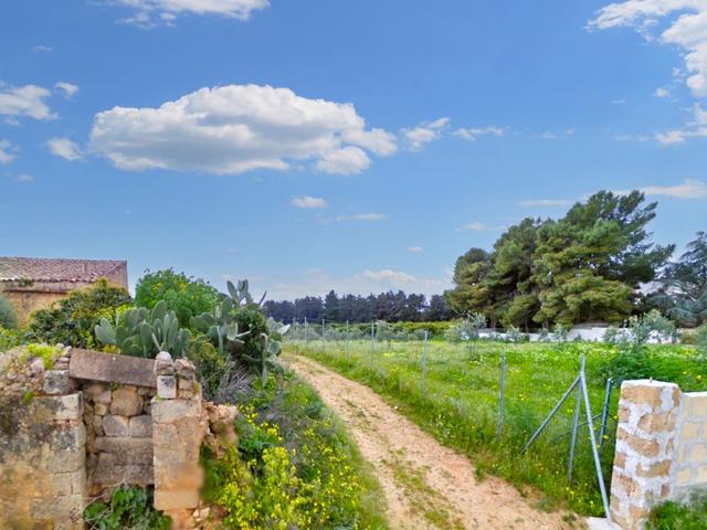 Agricoli in vendita