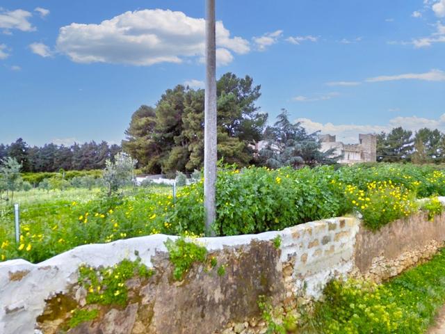 Agricoli in vendita