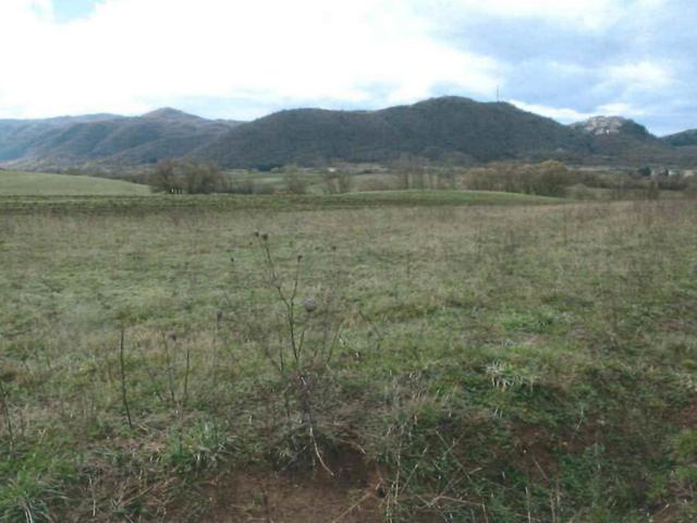 #4599 Terreno agricolo di 19.176 mq in vendita - foto 2