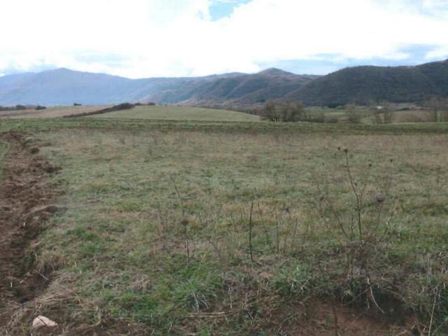 #4599 Terreno agricolo di 19.176 mq in vendita - foto 3